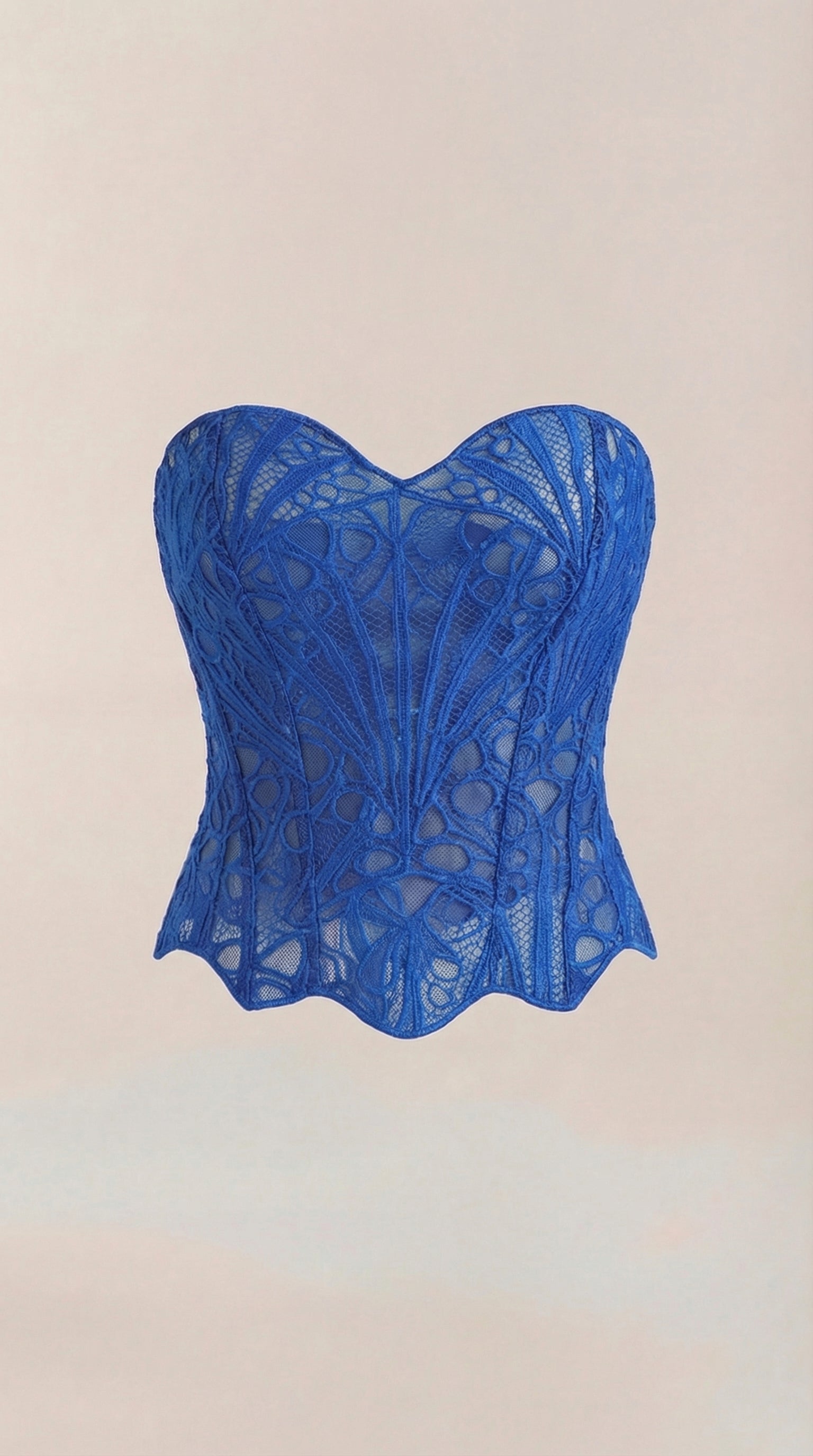 Lace Strapless Corset Top